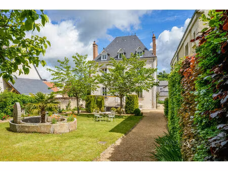 propriété d'exception - amboise 32 pièce(s) 800 m2