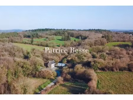 vente maison à guerlesquin (29650) : à vendre / 111m² guerlesquin