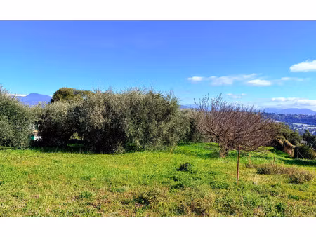 terrain saint-laurent-du-var m² t- à vendre  399 000 €
