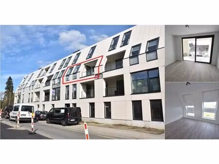 appartement à louer à neremweg 30 berg (rbv49796)