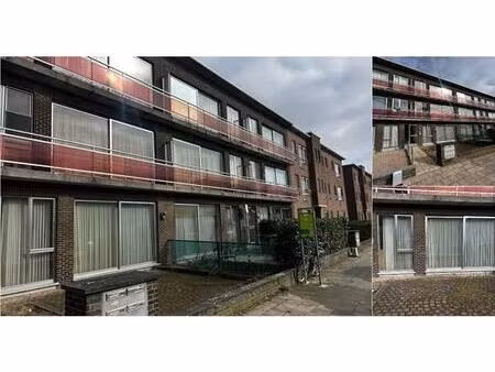 appartement à louer à jaspar van kinschotstraat 26 turnhout (rbv49869)