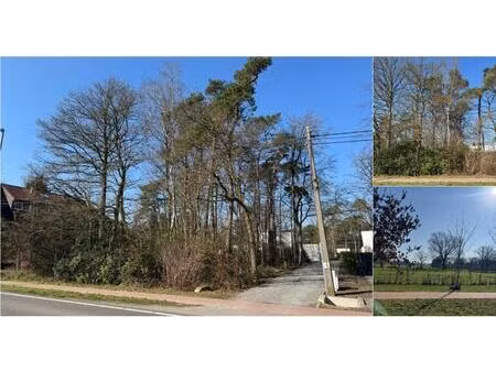 terrain à bâtir à vendre à schotensteenweg brecht (rbv49565)