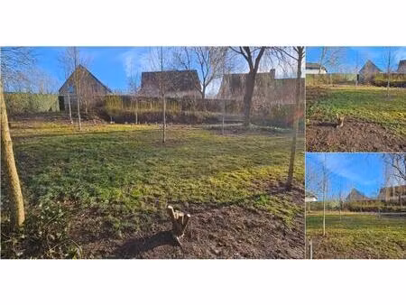 terrain à bâtir à vendre à overlo 7 louvain (rbv49777)