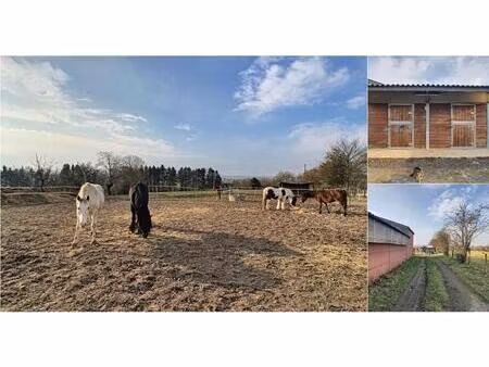 terrain agricole à louer à velde aubel (vbe00290)