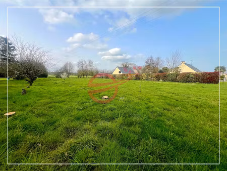 vente terrain 1619 m² jans (44170)