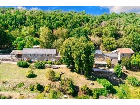 ensemble immobilier - 5 gîtes - 6 ha - potentiel accueil - aveyron
