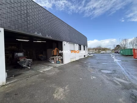 location locaux professionnels 175 m² à cholet (49300)  900 €