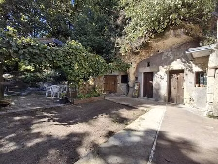 lieu unique niché dans un écrin de verdure avec caves troglodytiques
