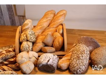 vente boulangerie 500 m²
