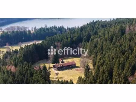 propriété xonrupt-longemer (88)