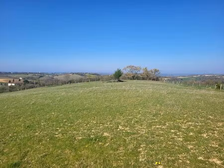 terrain constructible