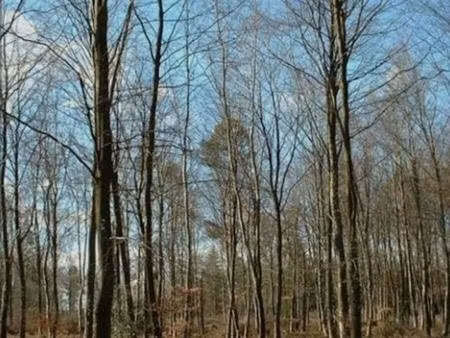 achat terrain 3 100m² echourgnac 24410