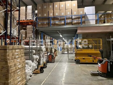 location local d'activités rumilly 4 739 m²