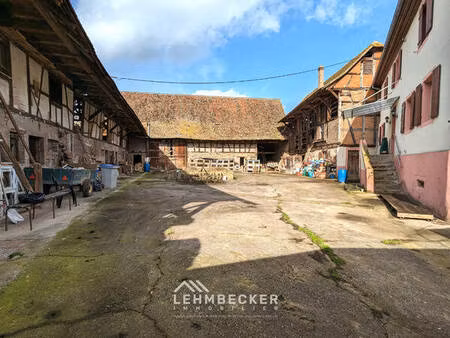 terrain & maison 17 79 ares - entzheim