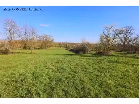 vente terrain 4045 m² foissiat (01340)