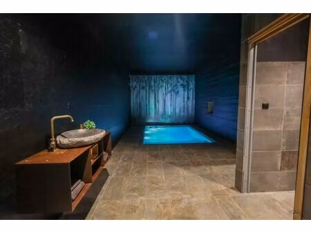 en vente immeuble de rapport 439 m² – 585 000 € |saint-martial-sur-né