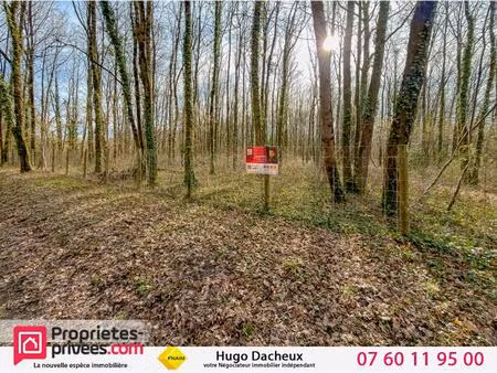 terrain constructible - 6783 m² - boisé -