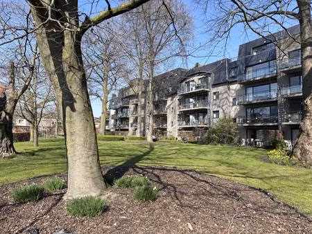 appartement te huur in berchem met 1 slaapkamer