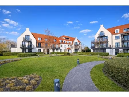 appartement te huur in knokke met 1 slaapkamer