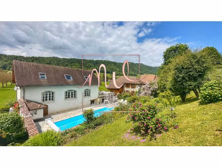 achat maison 8 pièces 325m² st aupre 38960