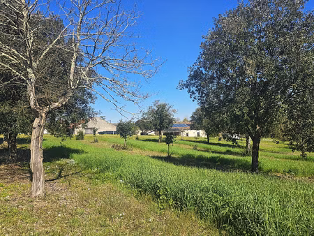 bel ensemble en pierre - maison plain pied  studio indépendant  grange et piscine sur 5000