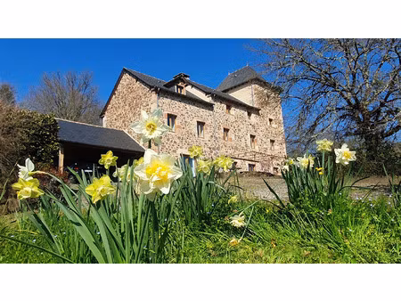 vente maison 7 pièces 287 m² najac (12270)