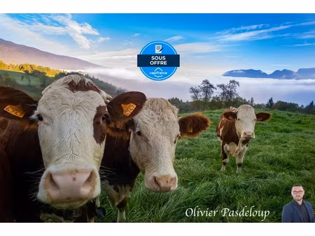 vente ferme 8 pièces 1838 m² à antully (71400)  200 000 €