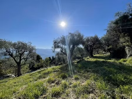 achat terrain 1 950m² chateauneuf villevieille 06390