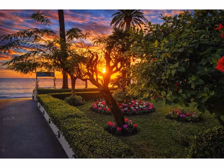 murs commerciaux - antibes / juan-les-pins - 123 m2 modulabl