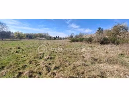 terrain de loisirs de 9 040 m² à pressigny-les-pins