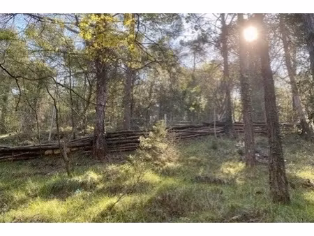 annonce terrain à vendre