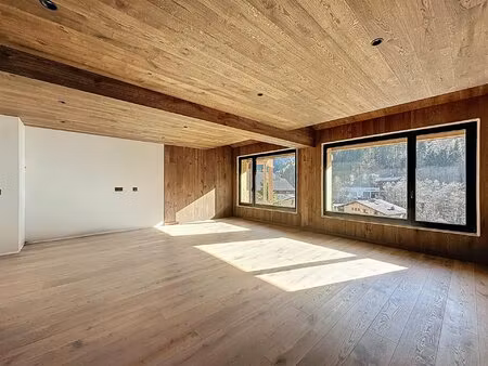 achat : appartement (74110)