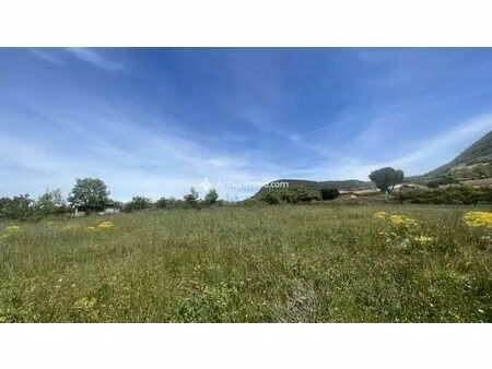 vente terrain à saint-georges-de-luzençon