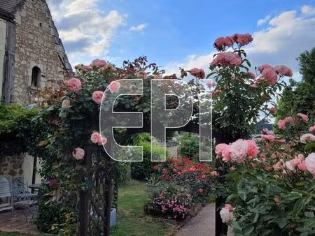 vente maison 6 pièces 139 m² chouzé-sur-loire (37140)