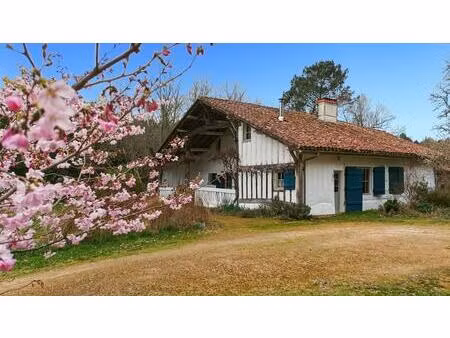 vente maison 5 pièces 179 m² le sen (40420)