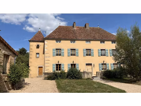 belle batisse xixème  avec dépendances  piscine  terrain de 3