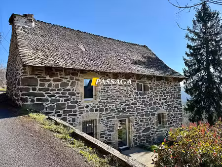 vente maison prades-d'aubrac 12470 - - surface privée
