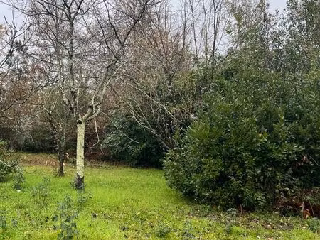 vente terrain 660 m² parempuyre (33290)