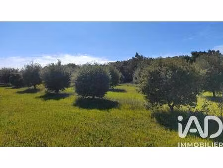 vente terrain à travaillan (84850) : à vendre / 4400m² travaillan