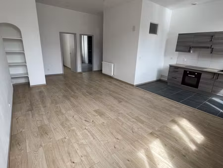 t3 lumineux en centre-ville proche verdun