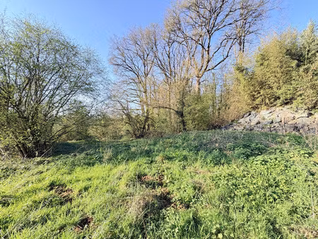 achat terrain 1 241m² gorges 44190