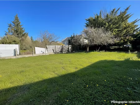 terrain constructible