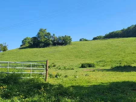 terrain agricole sur 6 hectares  bois  source  compteur d'eau  clos  abri animaux  chevaux