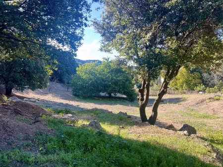 magnifique terrain - 10 mn d'ajaccio