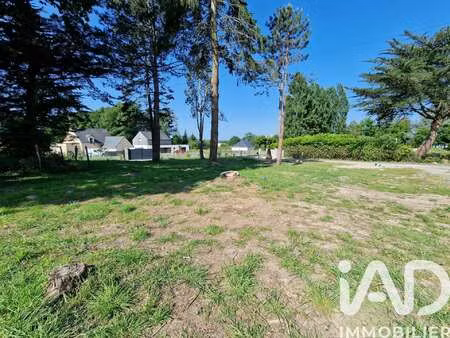 vente terrain à saint-gildas-des-bois (44530) : à vendre / 987m² saint-gildas-des-bois