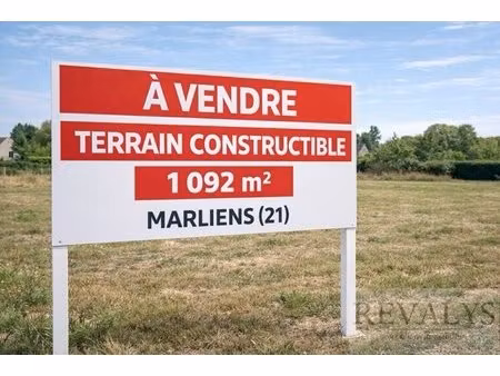 terrain constructible