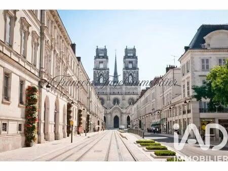 vente appartement 5 pièces 106 m² fleury-les-aubrais (45400)