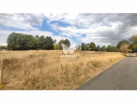 terrain - 7205 m²