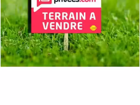 terrain