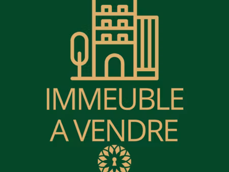 vente immeuble 195 m² reims (51100)